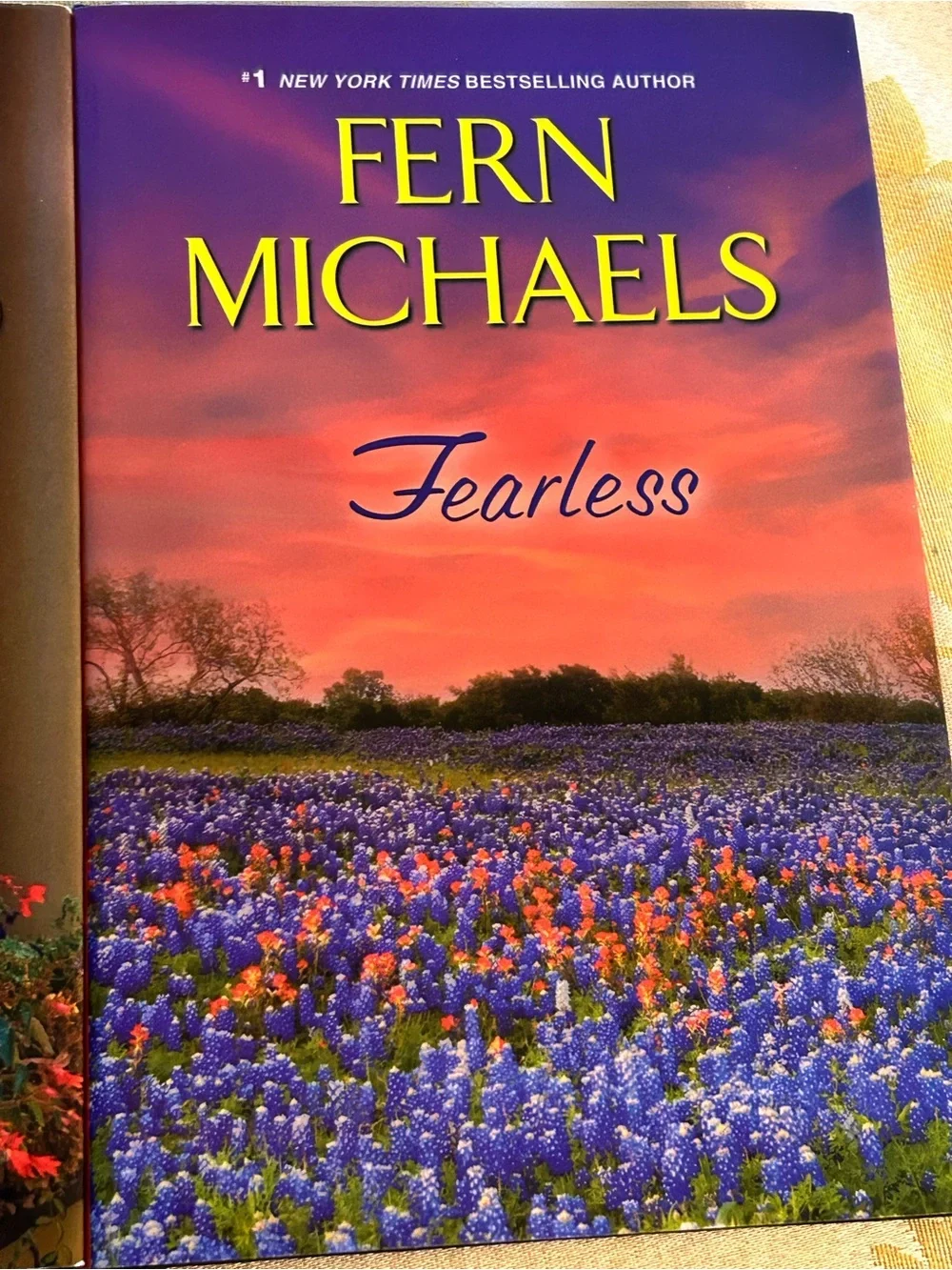 Fern Michaels Book Bundle